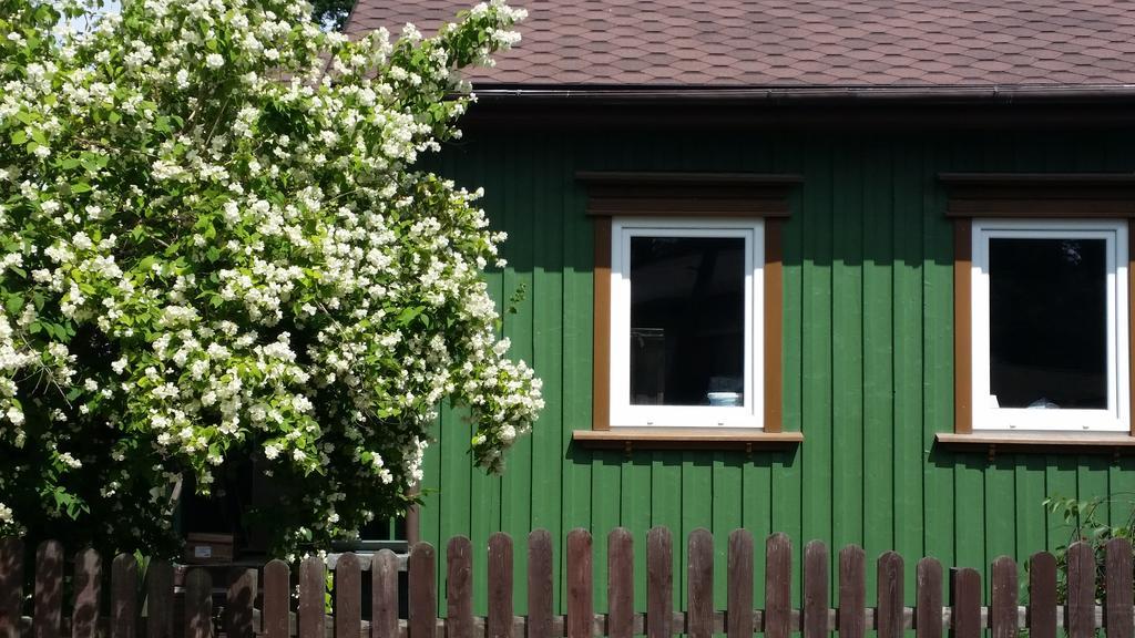 Summer House Ventspils Esterno foto